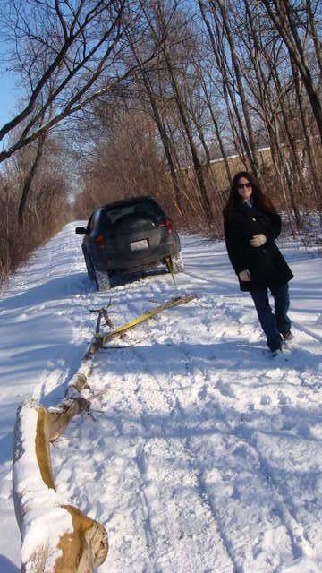 Tree Haul 09'