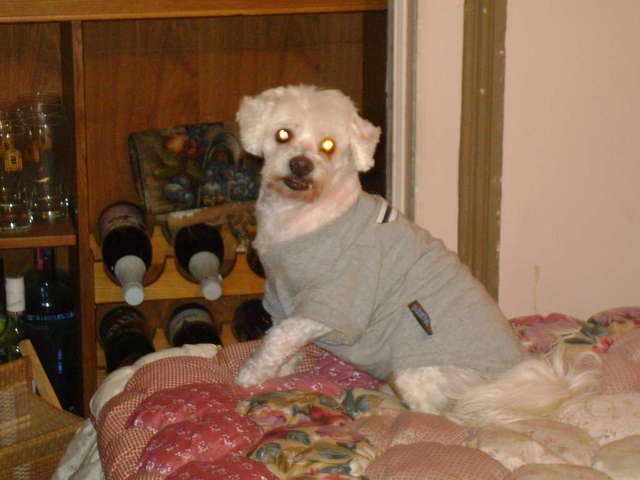 Prince