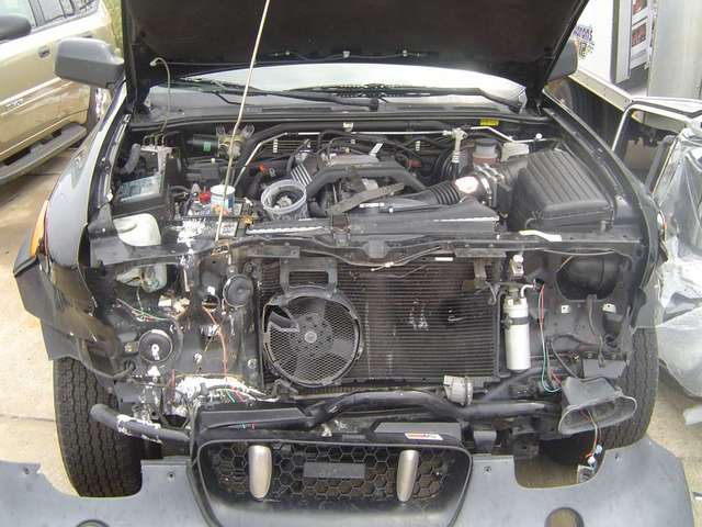 377 carnage