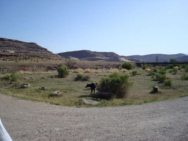 Moab set 06