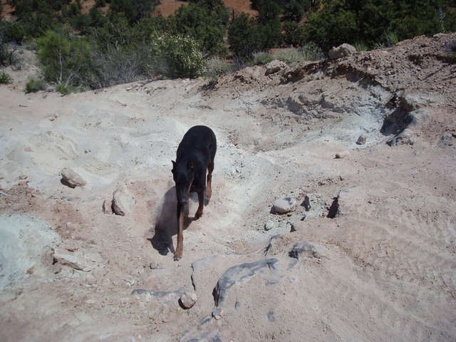 Moab set 09