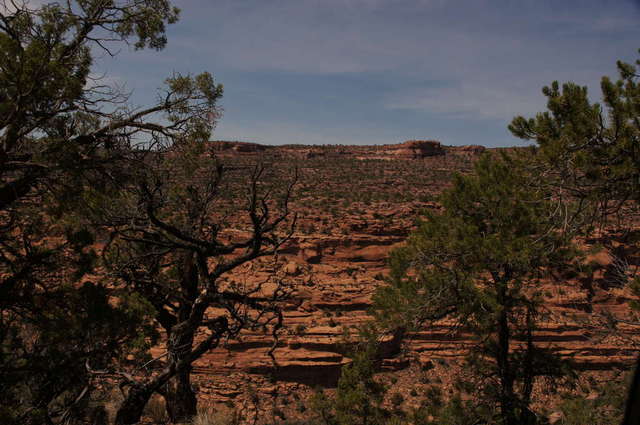 Moab 2013 Porcupine Rim