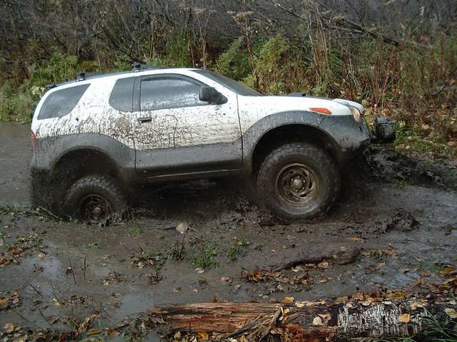 mud puddle 2