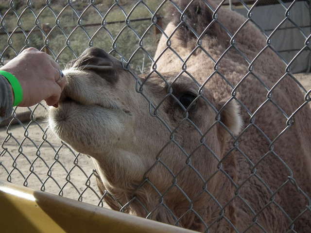 Out of Africa wildlife park