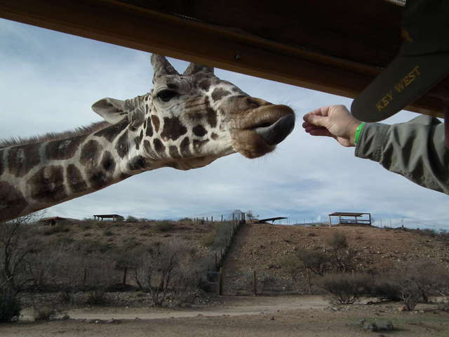 Out of Africa wildlife park