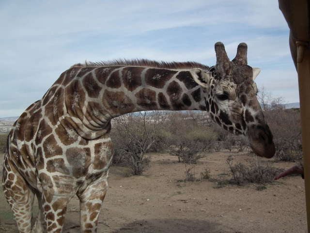 Out of Africa wildlife park