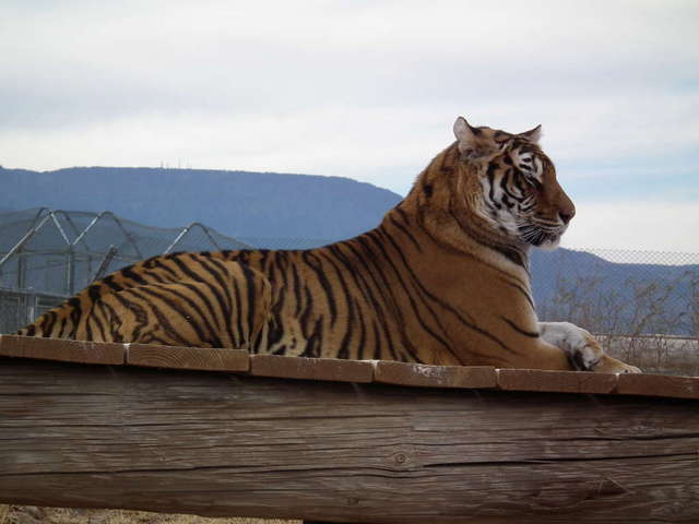 Out of Africa wildlife park
