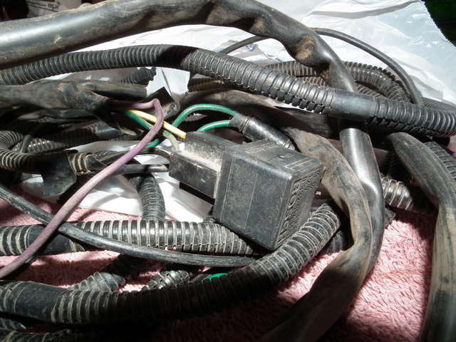 Rodeo OEM fog switch, harness &amp; all wiring