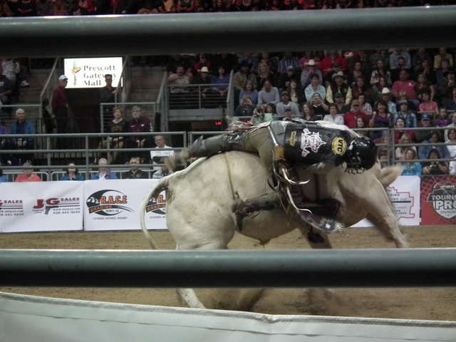 PBR bullriding