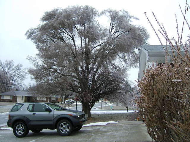 Ice