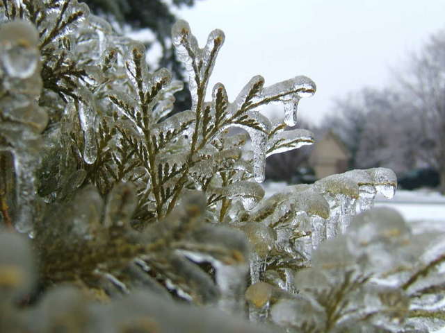 more ice