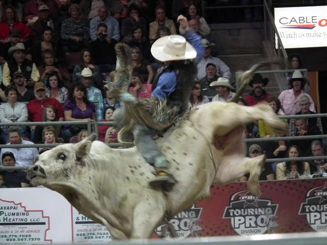 PBR bullriding