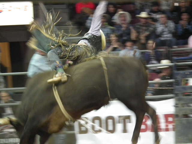 PBR bullriding