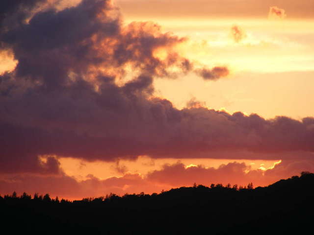 DSCF5473