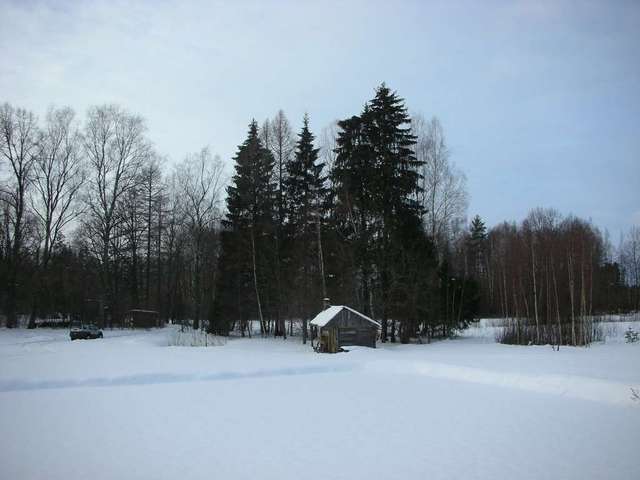 January in Latvia, cntnd....