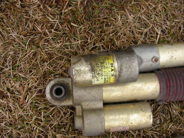 DSCN6344