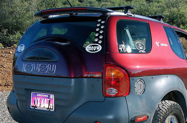 KATs on board....paw prints