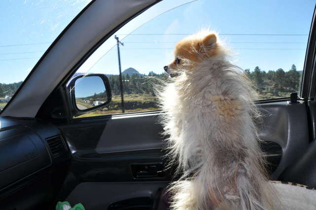 Random scenes of everyday America - October 2010