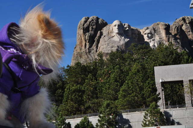 Teddy Bear at Mt. Rushmore - October 2010