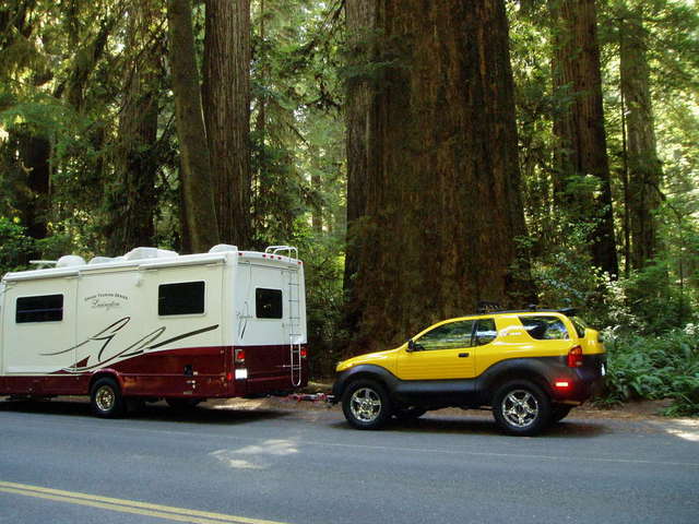 VX in the redwoods