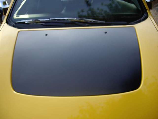 Hood Insert