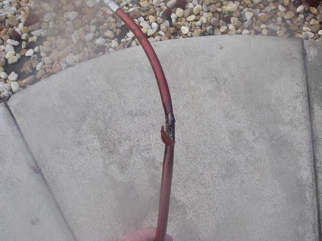 Busted brake line