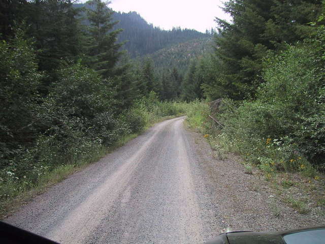 Typical Gifford Pinchot main road