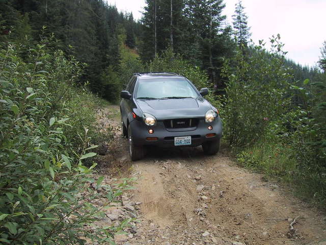 Gifford Pinchot side road