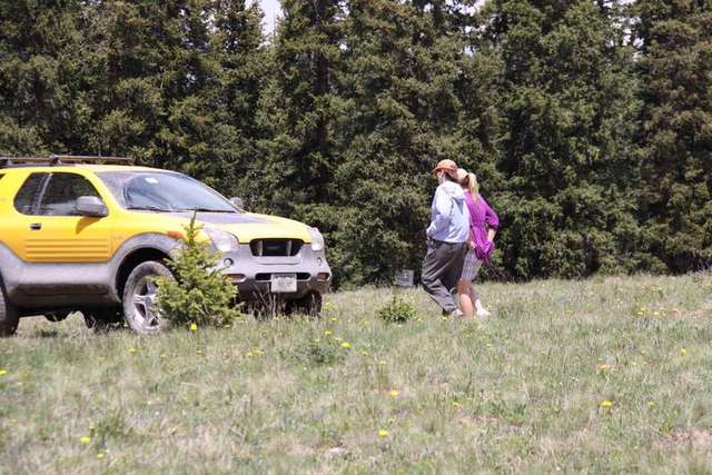 Catching hikers
