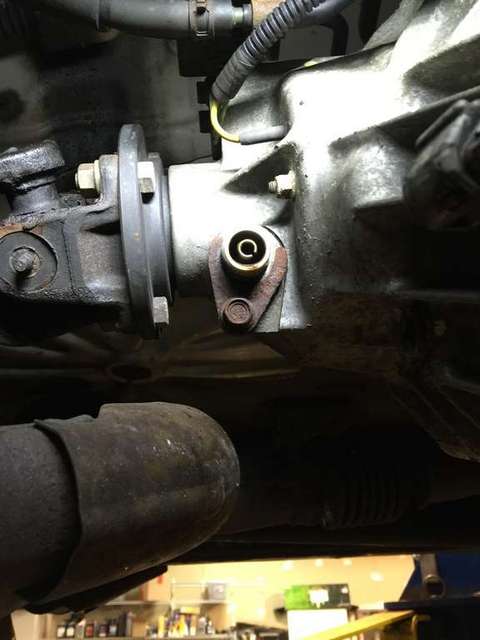 speedo fix