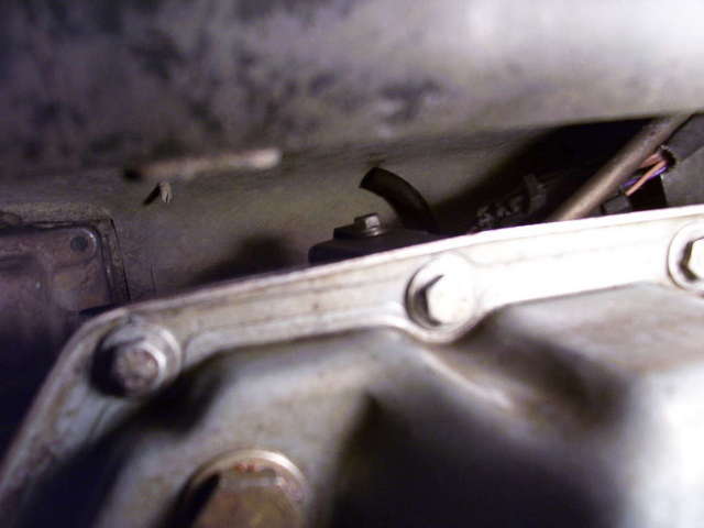 Random unconnected hoses by trans