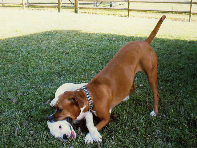 Maya &amp; Lola