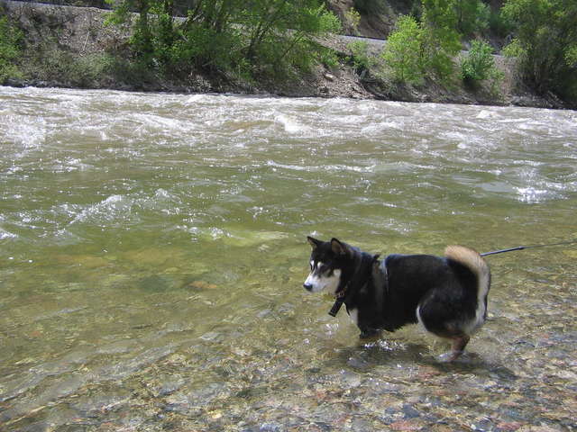 Moab_2009_050