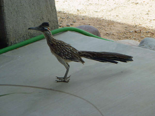 P1000105_edited-1