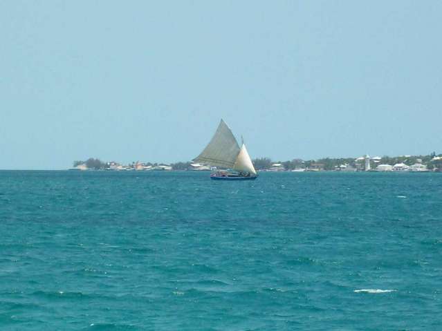 Picture_863