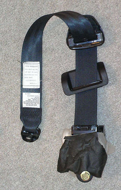 Rear Seat Belt