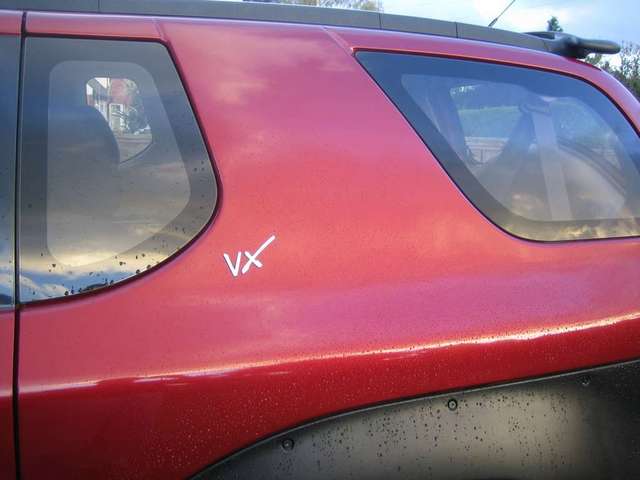 Custom Logo