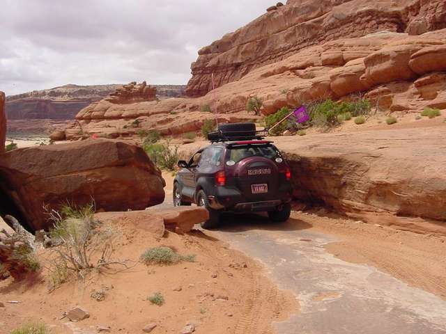 Sue in the squeeze