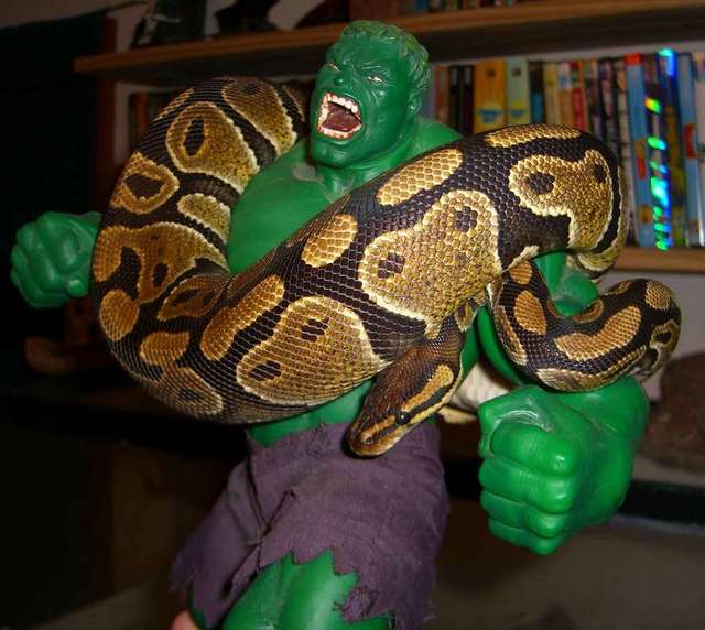 SnakeHulk