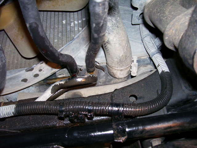 Trans fluid cooling line leaking again!!!!!