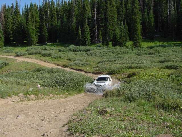 Playing in the stream