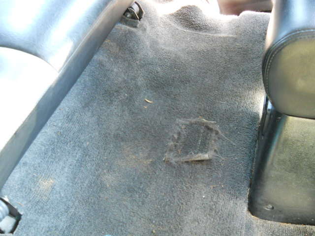 Rear Floor