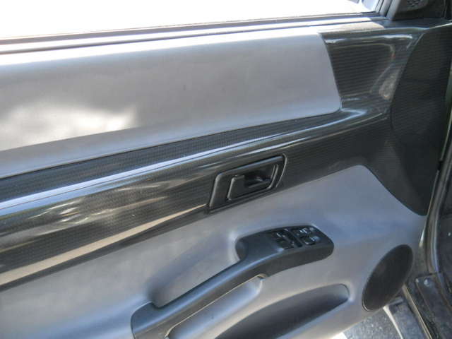 Driver Door