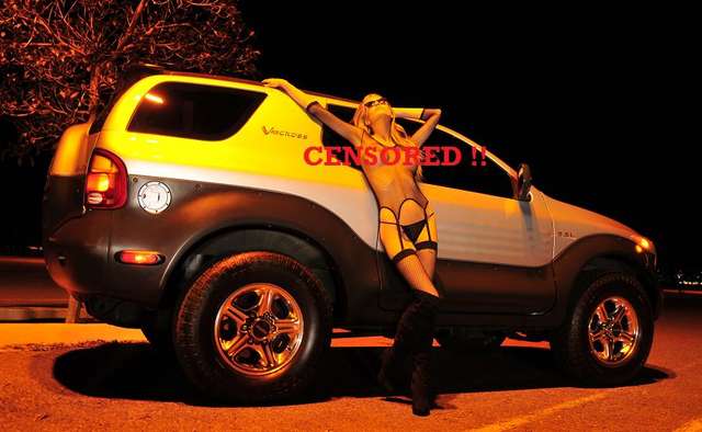 VX Info Pin Up Calendar samples 2011