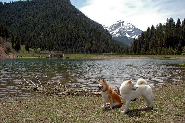 American Fork Valley