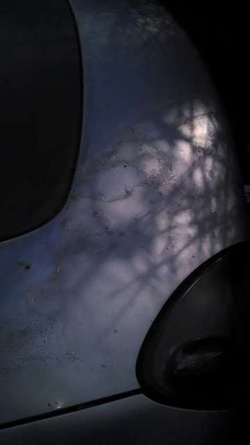 astralFSCT