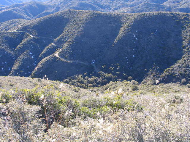 crown king trail