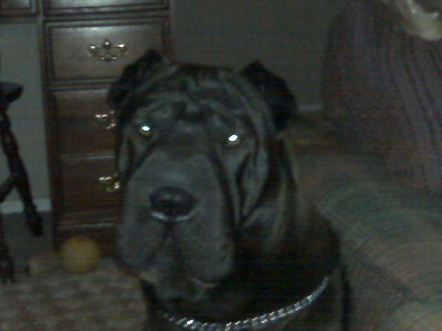 Chaz's pics