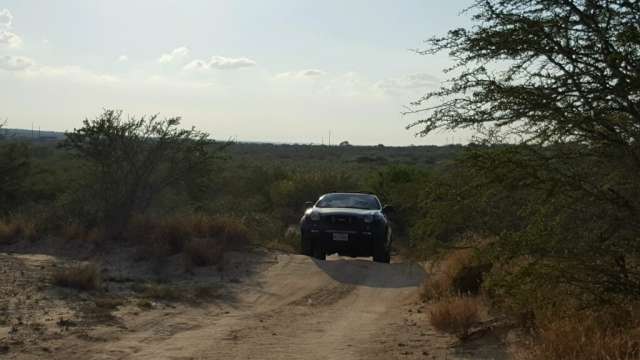 Nice pic from my brother