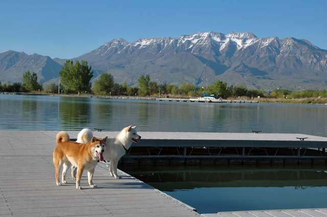 Lake Utah